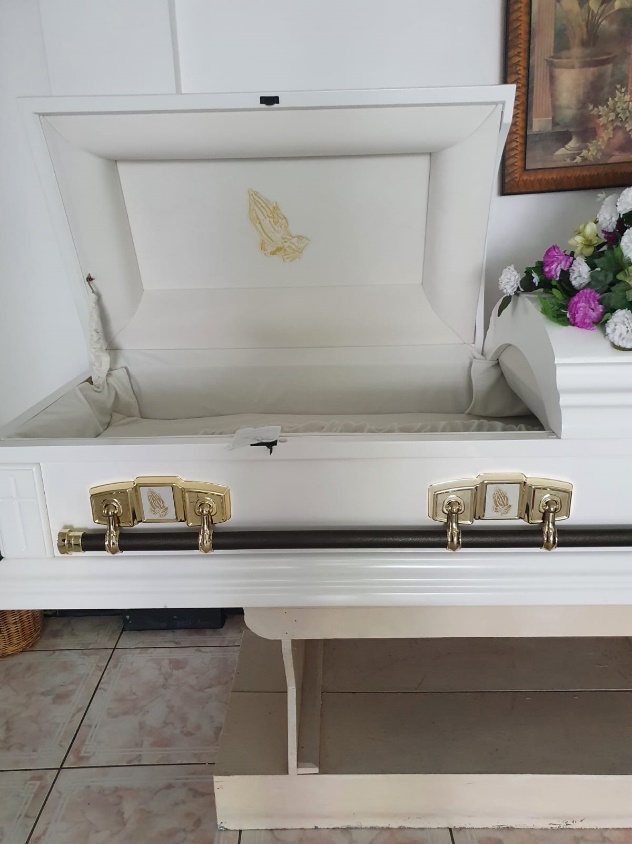 Imported Wood - White casket package