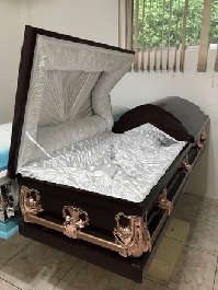 Plain Polished casket package